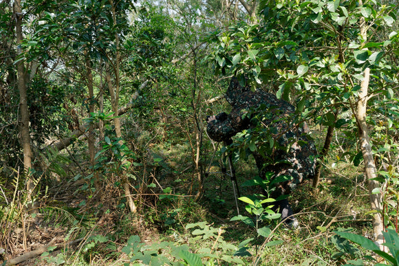 NEW: Wilderness Camouflage